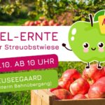 Apfel-Ernte am 12. Oktober 2024 ab 10 Uhr in Neuseegaard