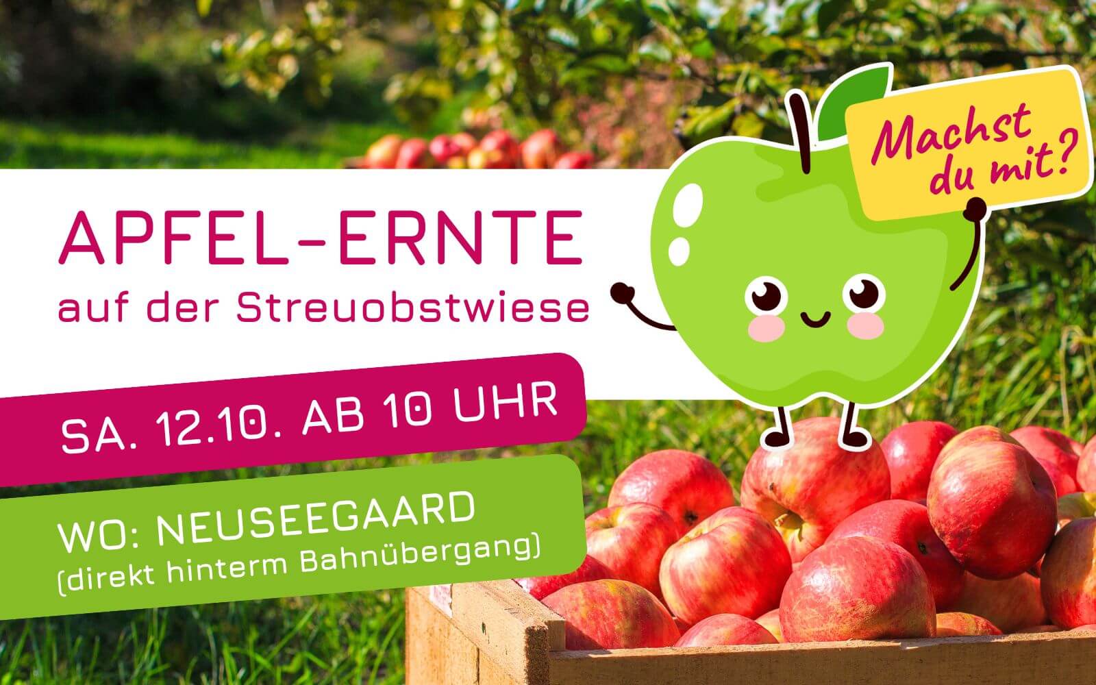 Apfel-Ernte am 12. Oktober 2024 ab 10 Uhr in Neuseegaard