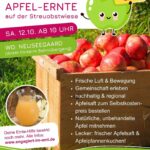 Plakat zur Apfel-Ernte am 12. Oktober 2024 ab 10 Uhr in Neuseegaard