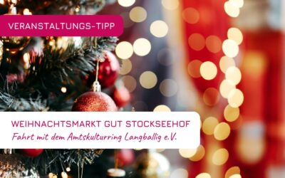 Fahrt zum Weihnachtsmarkt Stockseehof