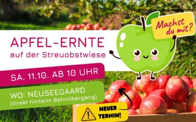 Einladung zur 2. Apfelernte in Neuseegaard
